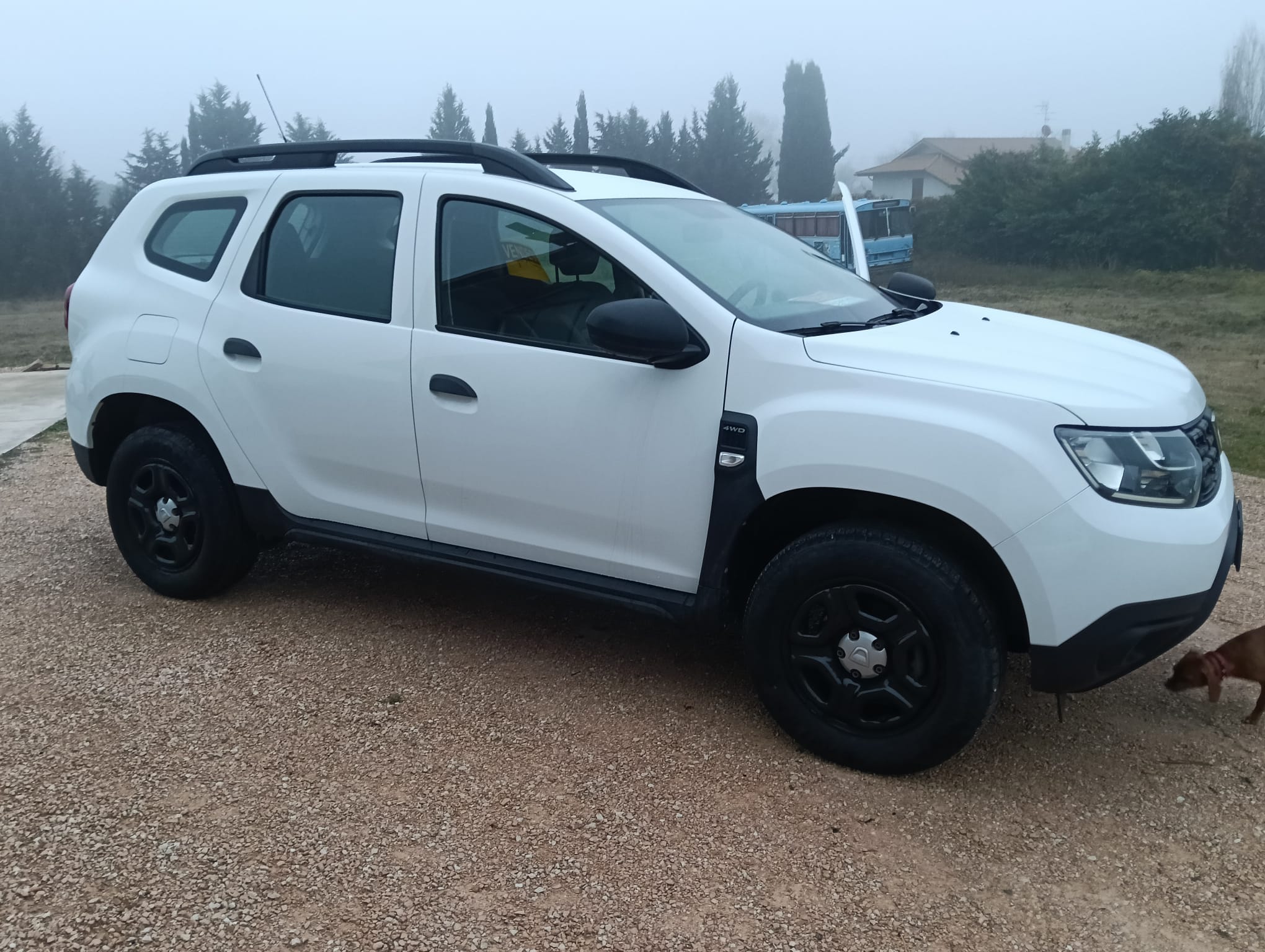 Dacia Duster 4x4 neopatentati ok (VENDUTA) - immagine 2