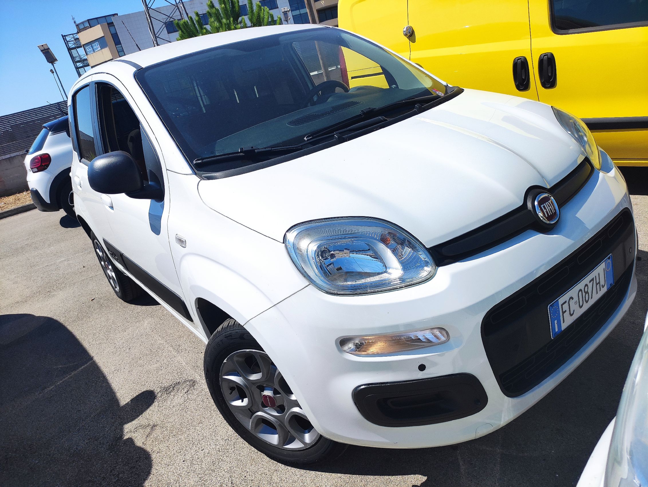 Panda autocarro (VENDUTA)