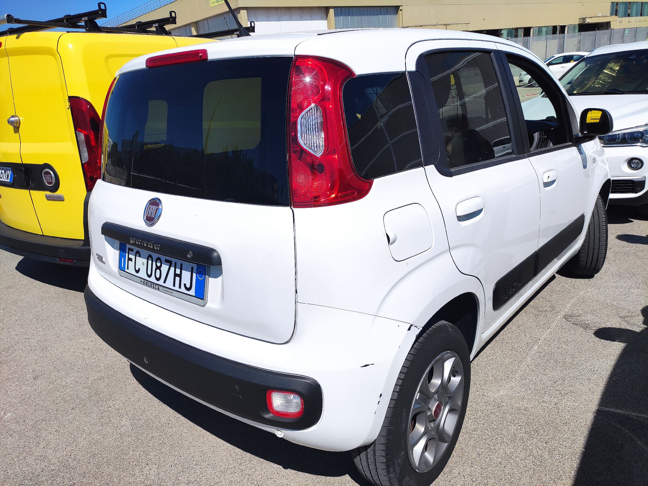 Panda autocarro (VENDUTA) - immagine 3