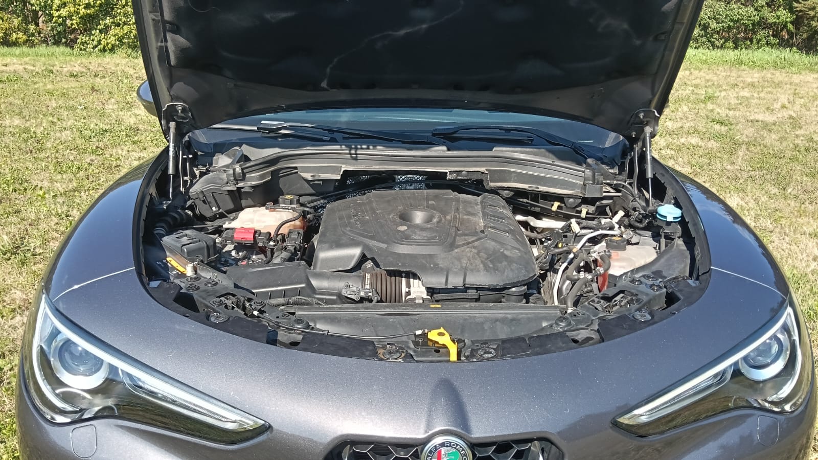 Alfa Romeo STELVIO 2.2 Turbo Diesel 160 CV - immagine 11